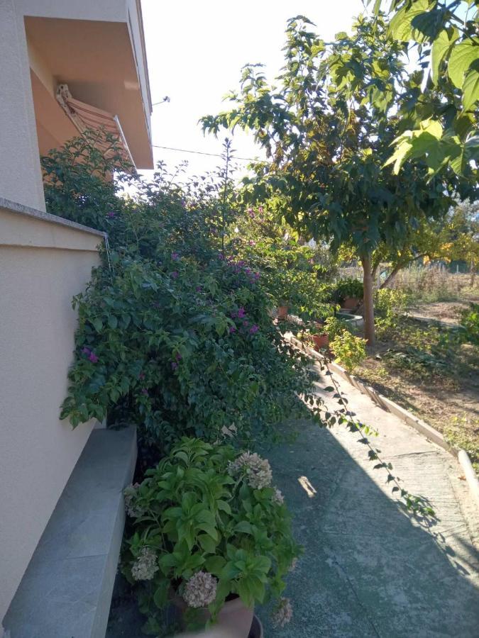 Apartmani Danijela โลปาร์ ภายนอก รูปภาพ